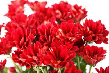 Similar image 2236183