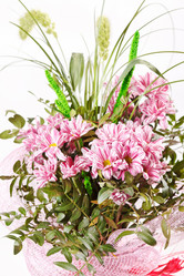 Similar image 2236205