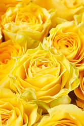 Similar image 2236235