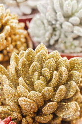 Similar image 2236242