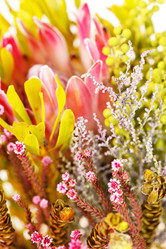 Similar image 2236246