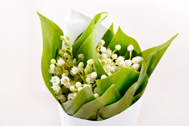 Similar image 2236430