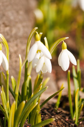 Similar image 2236436