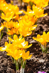 Similar image 2236439