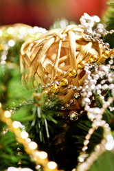 Similar image 2236440