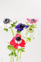 Similar image 2236577