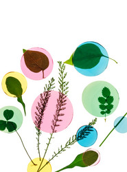 Similar image 2236580