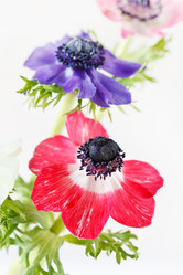 Similar image 2236610