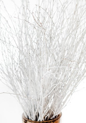 Similar image 2236621