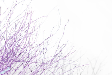 Similar image 2236625