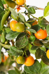 Similar image 2236631