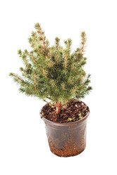 Similar image 2236637