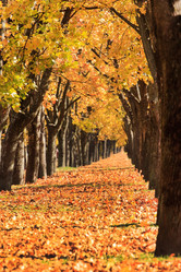 Similar image 2236648