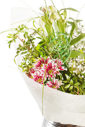 Similar image 2236655