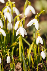 Similar image 2236670