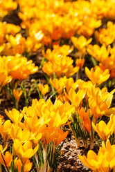 Similar image 2236697