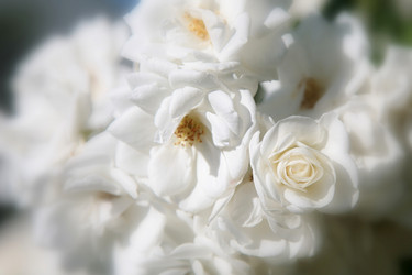 Similar image 2236754