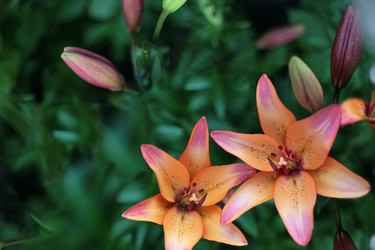 Similar image 2236757