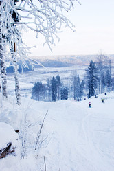 Similar image 2236759