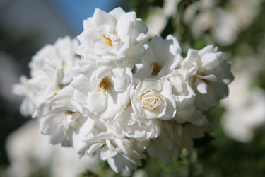 Similar image 2236760