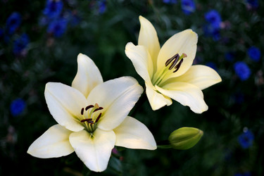 Similar image 2236762