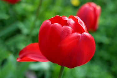 Similar image 2236772