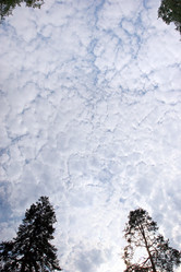 Similar image 2236775