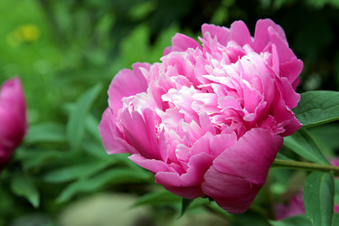 Similar image 2236778