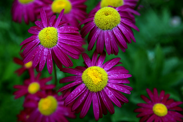 Similar image 2236785