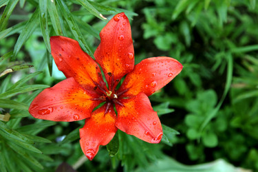 Similar image 2236788