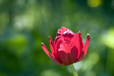 Similar image 2236791