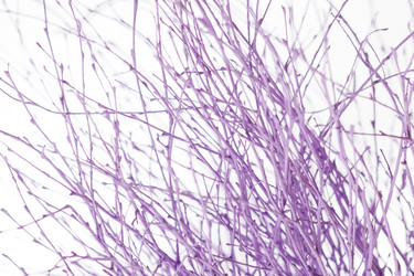 Similar image 2236809