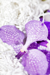 Similar image 2236841