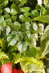 Similar image 2236844