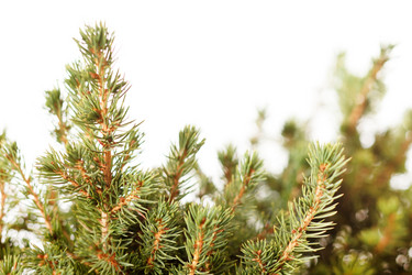 Similar image 2236856