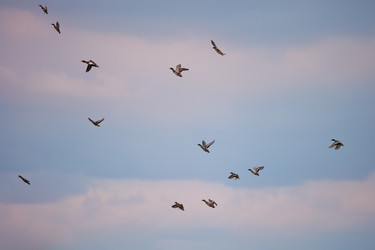 Similar image 2236881