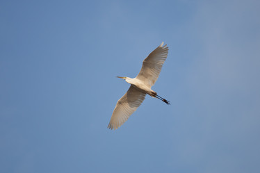 Similar image 2236882