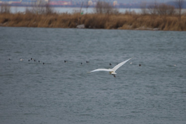 Similar image 2236897