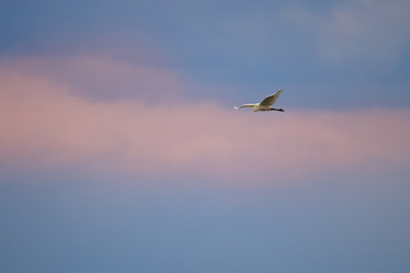 Similar image 2236901