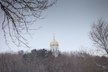 Similar image 2236912