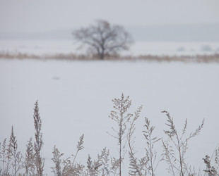 Similar image 2236913