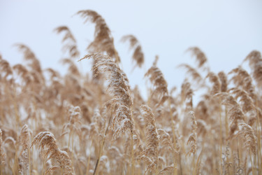 Similar image 2236914