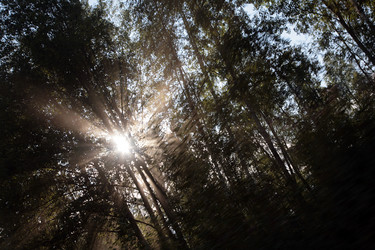 Similar image 2236931