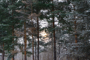 Similar image 2236994