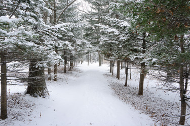 Similar image 2236995