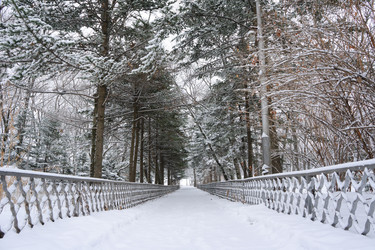 Similar image 2236998