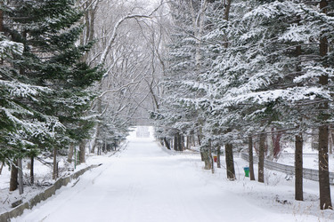 Similar image 2237000