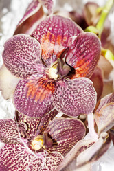 Similar image 2237076