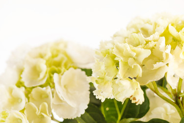 Similar image 2237079