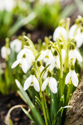 Similar image 2237084